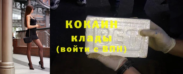 прущие грибы Костерёво
