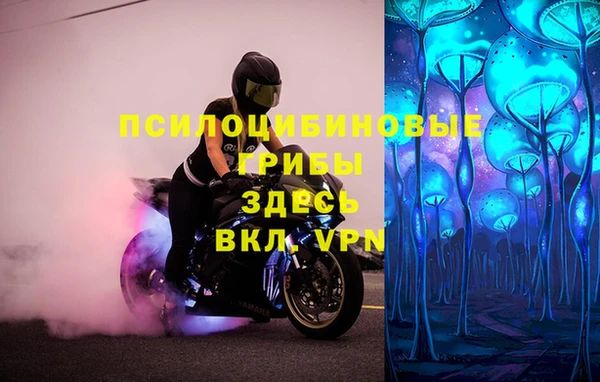 PSILOCYBIN Кинешма