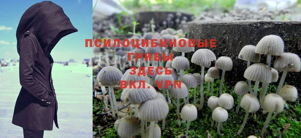 PSILOCYBIN Киреевск