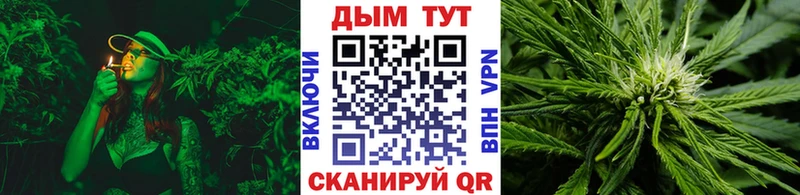 Бошки марихуана OG Kush  Купить  Далматово 